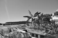 Impressionen aus Procida