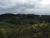 Blick in die toskanische Lanschaft