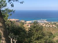 Blick auf den Hafen von Tropea