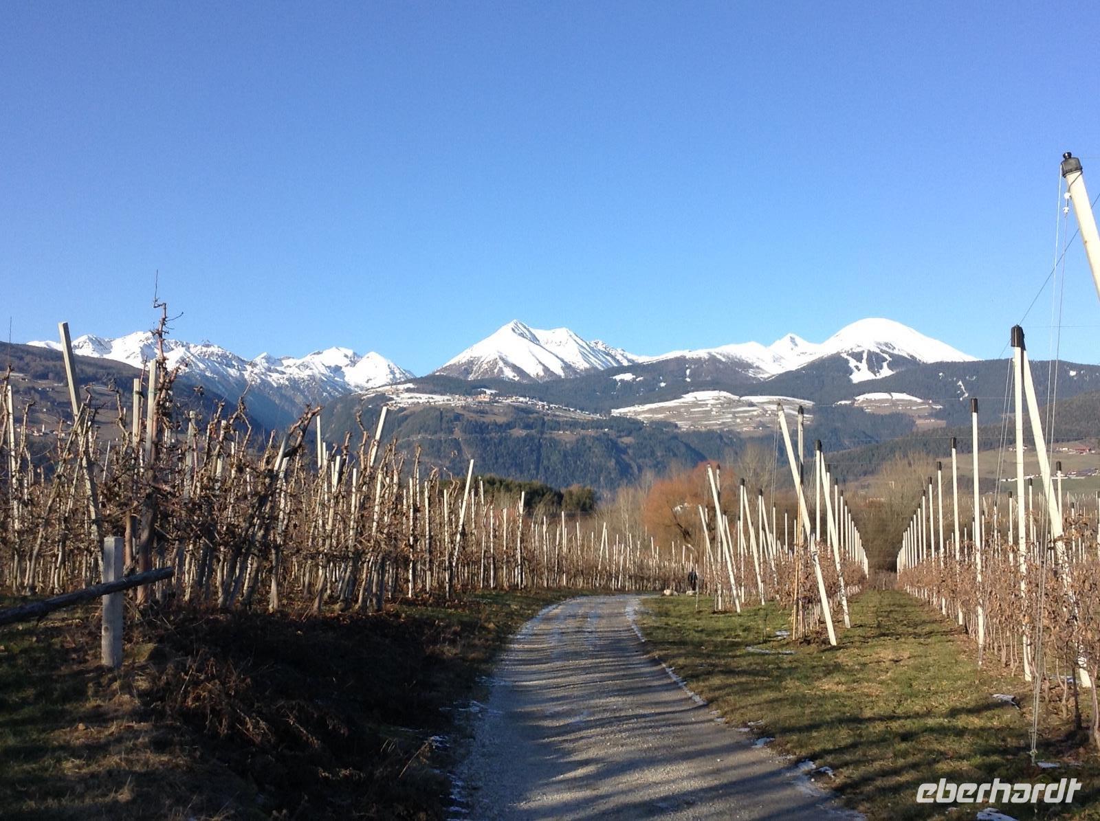 Blick in Richtung Pustertal