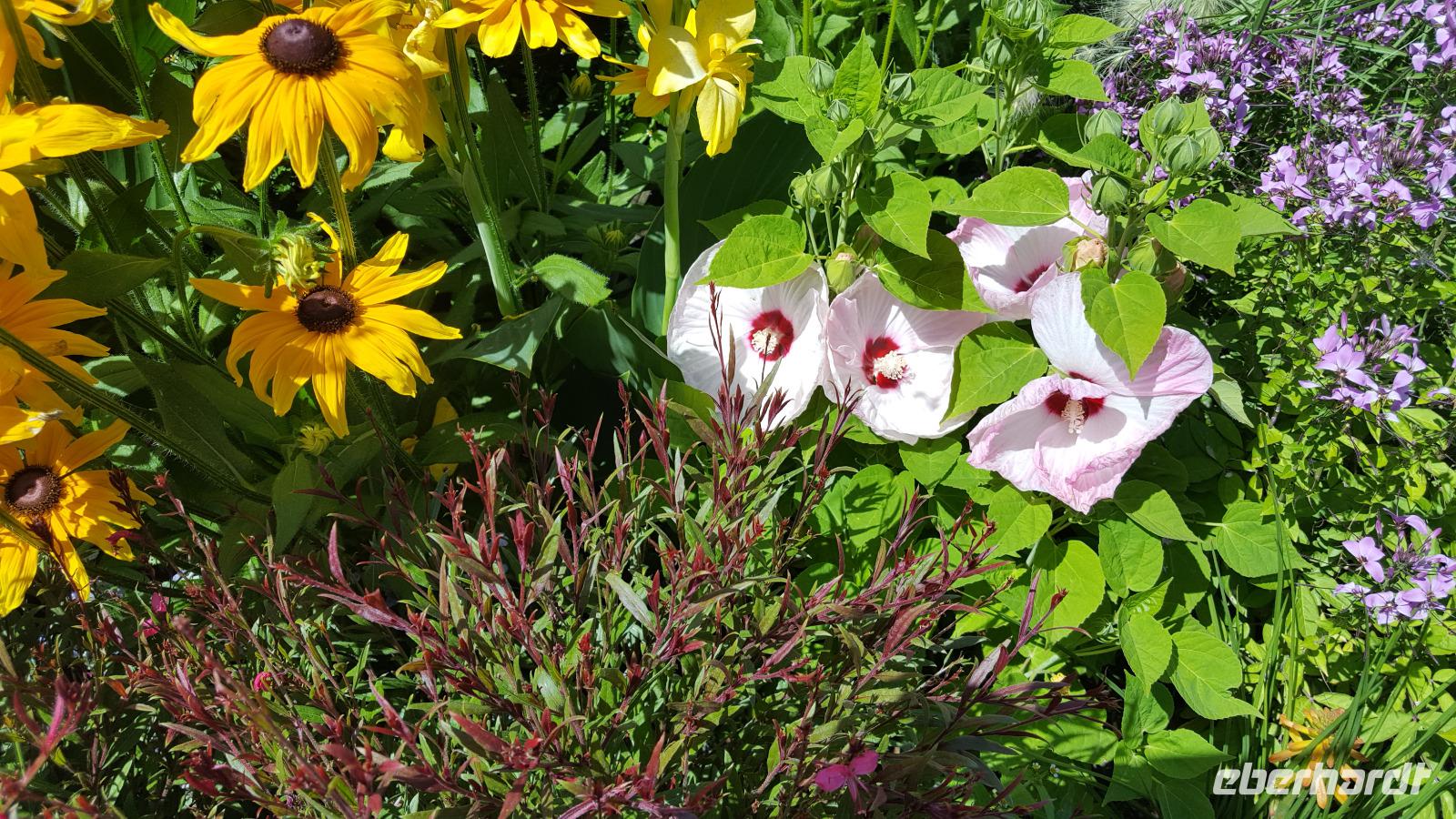 Meran - Kurpromenade