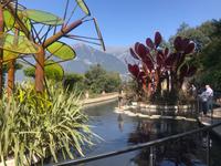 Trautmannsdorfer Gärten