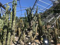 Trautmannsdorfer Gärten