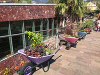 Trautmannsdorfer Gärten