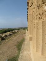 Tempel E Selinunte mit Blick zur Akropolis