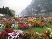 Riva del Garda