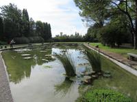 Seerosenteiche mit Skaligerburg