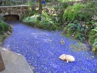 Botanischer Garten La Mortella_1