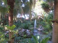 Botanischer Garten La Mortella_7