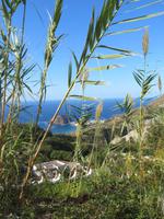 Wanderung bei Castiglione