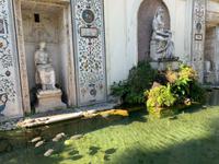 in den Vatikanischen Gärten