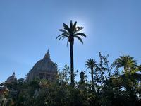 in den Vatikanischen Gärten