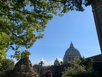 in den Vatikanischen Gärten