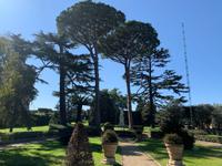 in den Vatikanischen Gärten