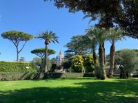 in den Vatikanischen Gärten