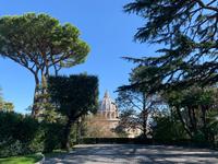 in den Vatikanischen Gärten