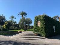 in den Vatikanischen Gärten