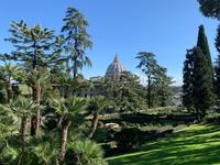 in den Vatikanischen Gärten