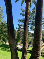 in den Vatikanischen Gärten