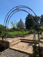 in den Vatikanischen Gärten