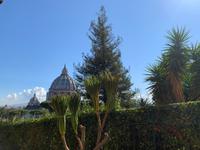 in den Vatikanischen Gärten