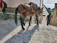 Italien, Amalfiküste, Pontone, Arbeitshelfer ..