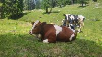 192 – Italien, Trentino, Adamello-Brenta