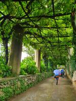 Italien, Amalfiküste, Ravello, Garten der Villa Cimbrone