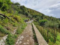 Italien, Amalfiküste, Ravello, Weg zum Kloster Nicola