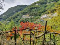 Italien, Amalfiküste, Ravello, Weg zum Kloster Nicola