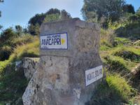 Italien, Insel Capri, Wanderung auf den Monte Solaro