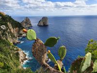 Italien, Insel Capri, Faragioli Felsenl