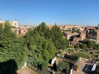 Palatinhügel mit Blick ins Forum