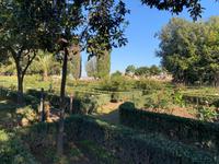 Palatinhügel - Farnesische Gärten