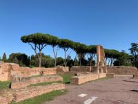 auf dem Palatinhügel