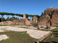 auf dem Palatinhügel