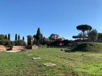 auf dem Palatinhügel