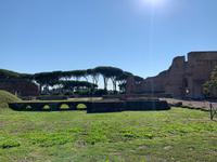 auf dem Palatinhügel