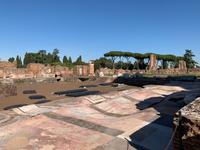 auf dem Palatinhügel