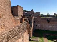 auf dem Palatinhügel