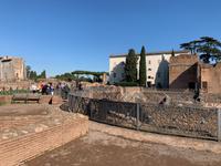 auf dem Palatinhügel