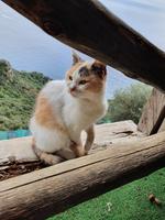 Italien, Amalfiküste, Götterweg, Chiosco in Nocelle, tolle Aussicht