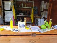 Italien, Amalfiküste, Minori, Agriturismo Il Campanile