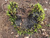 Italien, Amalfiküste, Götterweg, nach dem Brand