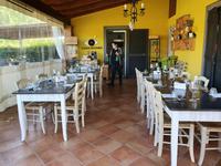 Italien, Weingut Casa Setaro