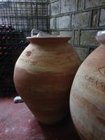 Italien, Weingut Casa Setaro