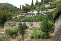 Wanderung rund um Ravello und Besuch im Agriturismo (52)