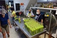 Wanderung rund um Ravello und Besuch im Agriturismo (32)