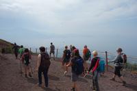 Lavalandschaft des Vesuvs (19)