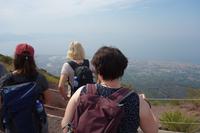 Lavalandschaft des Vesuvs (22)